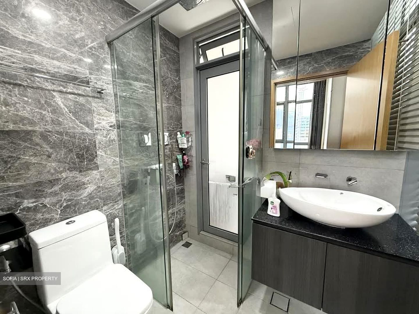 Spottiswoode Suites (D2), Apartment #555075311